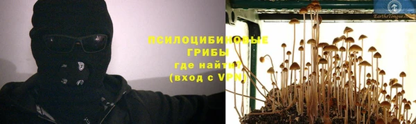 синтетический гашиш Алексин