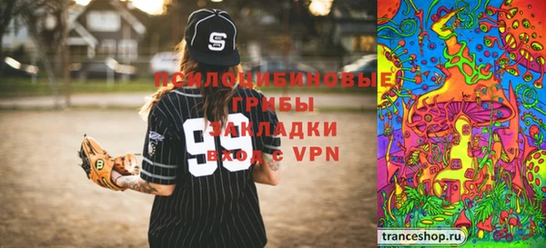 гидра Алексеевка