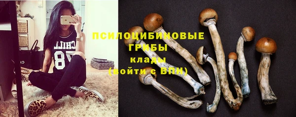 синтетический гашиш Алексин