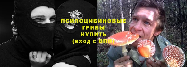 синтетический гашиш Алексин