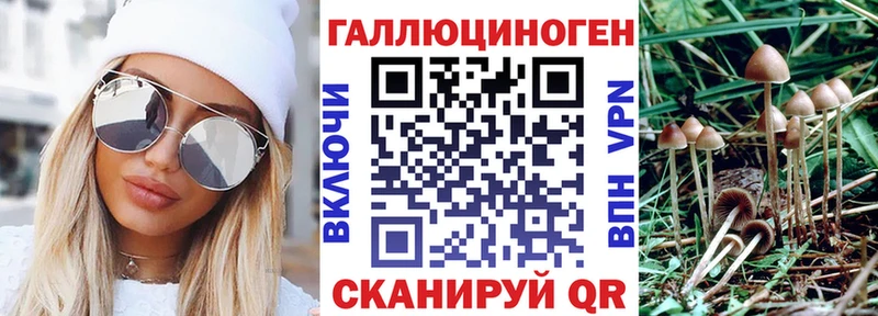 Галлюциногенные грибы ЛСД  кракен ONION  Нижнеудинск 
