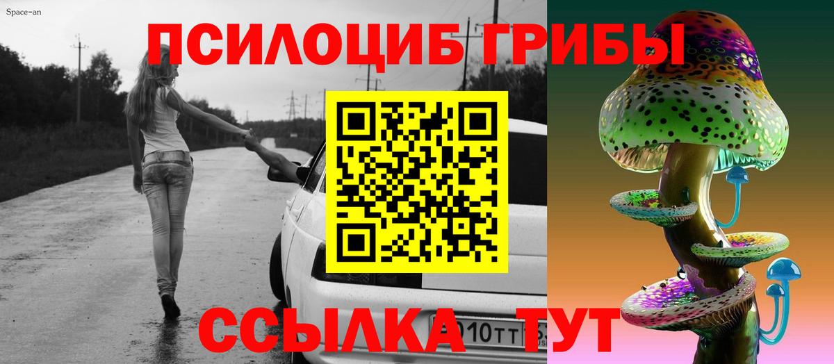 Галлюциногенные грибы Psilocybe Нижнеудинск