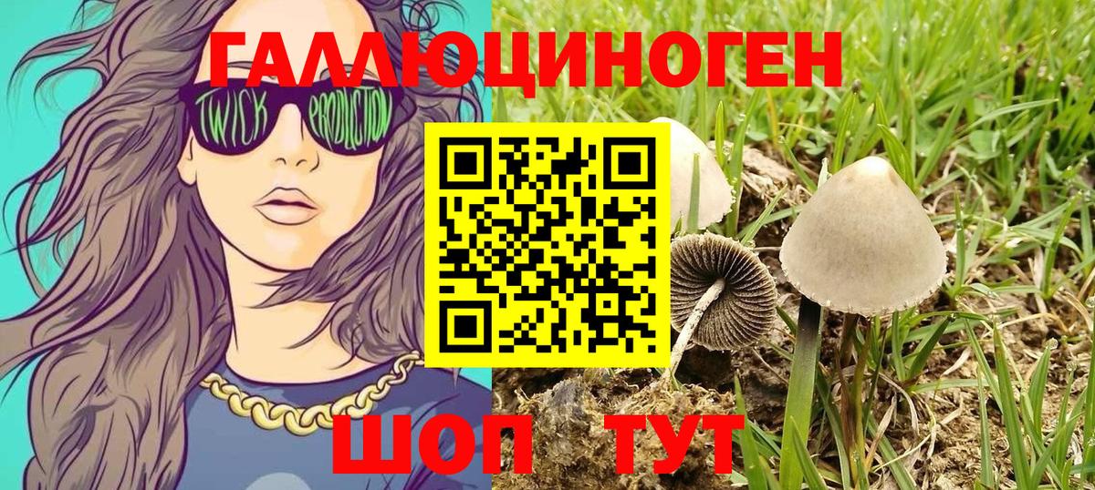 ГАШИШ Нижнеудинск